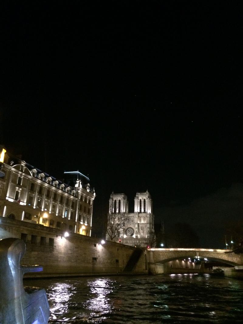 Notre Dame, River Seine at night boat tour, Paris, France