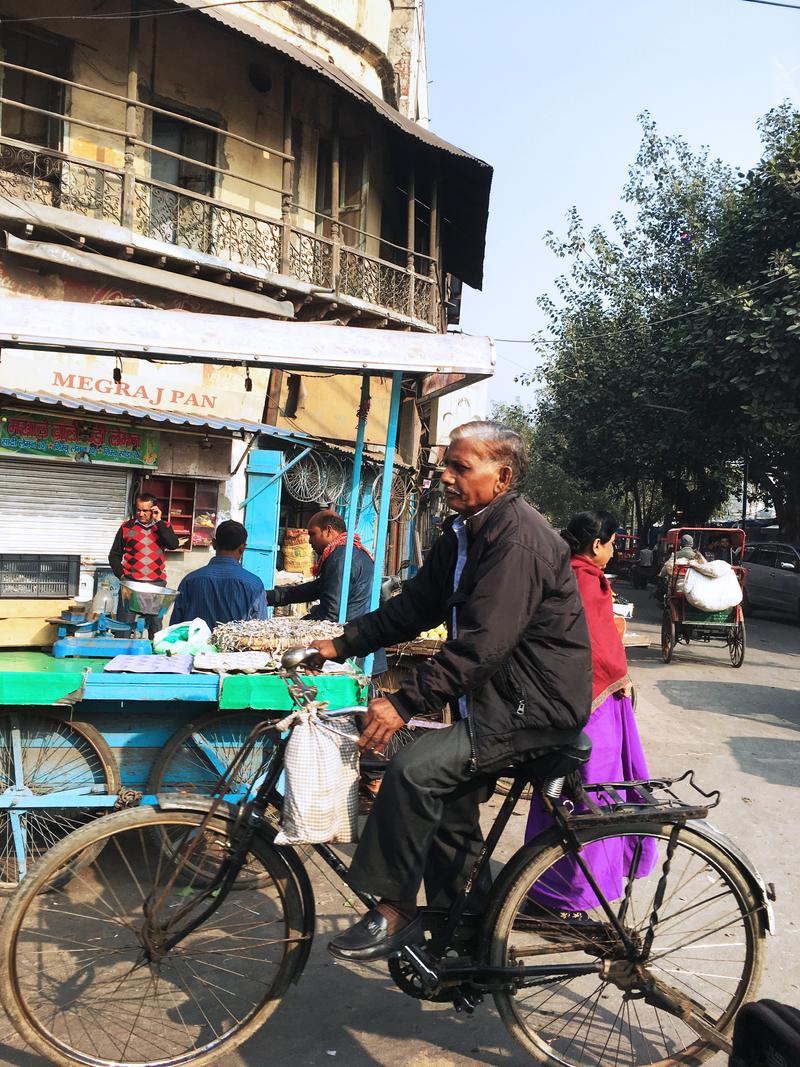 Street views, New Delhi, Delhi, India