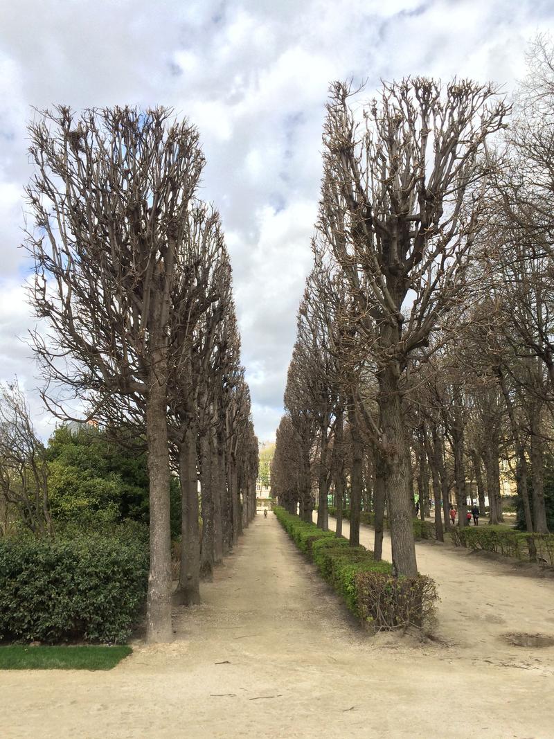 Auguste Rodin Sculpture Gardens, The musée Rodin, Paris, France