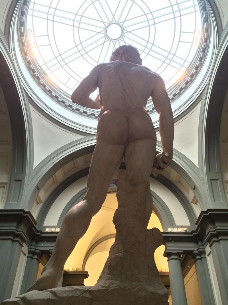 Michelangelo's The David, Accademia Gallery, Florence, Italy