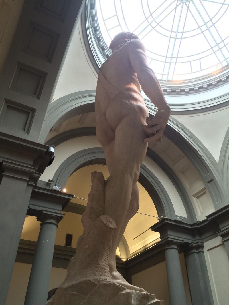 Michelangelo's The David, Accademia Gallery, Florence, Italy