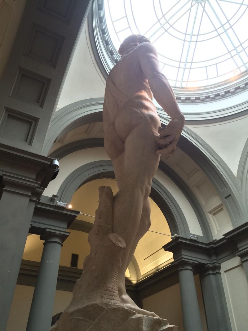 Michelangelo's The David, Accademia Gallery, Florence, Italy