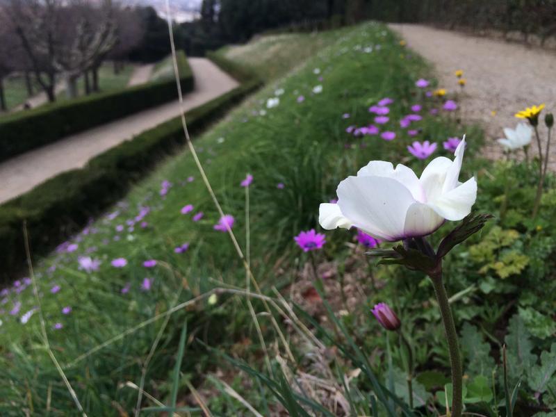 Boboli Gardens, Piazza Pitti, Florence, Italy