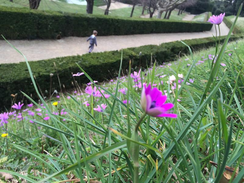 Boboli Gardens, Piazza Pitti, Florence, Italy