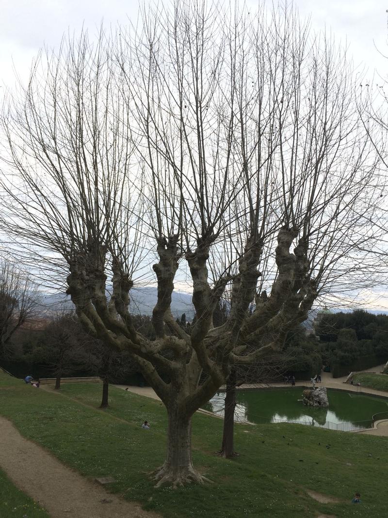 Boboli Gardens, Piazza Pitti, Florence, Italy