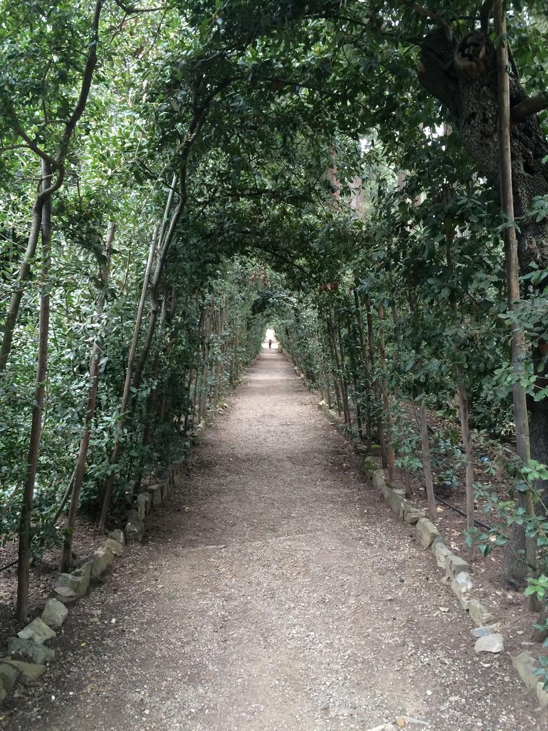 Boboli Gardens, Piazza Pitti, Florence, Italy