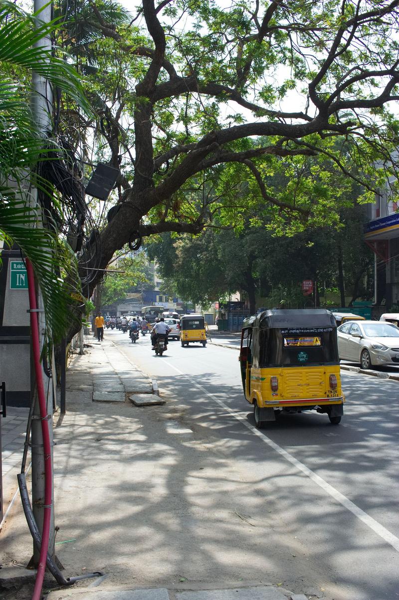 Street views, Chennai, Tamil Nadu, India