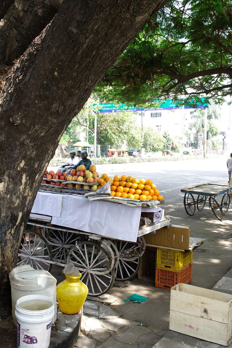 Street views, Chennai, Tamil Nadu, India