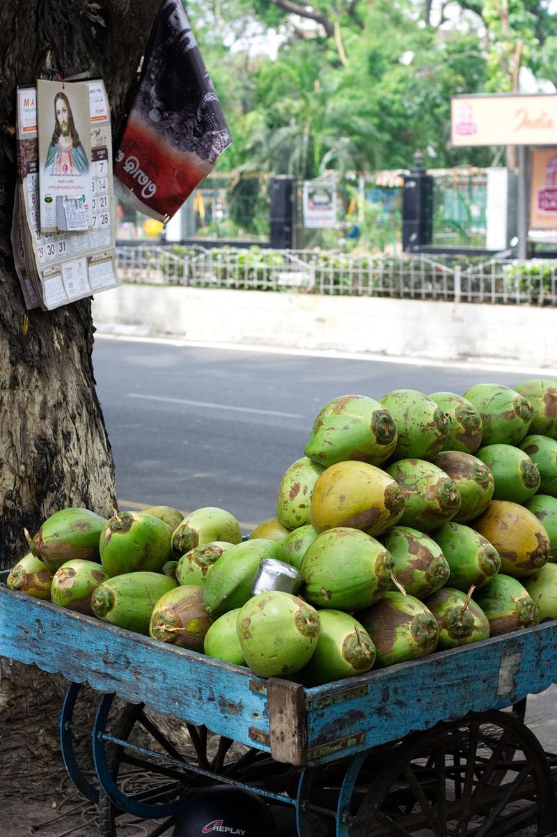 Street views, Chennai, Tamil Nadu, India