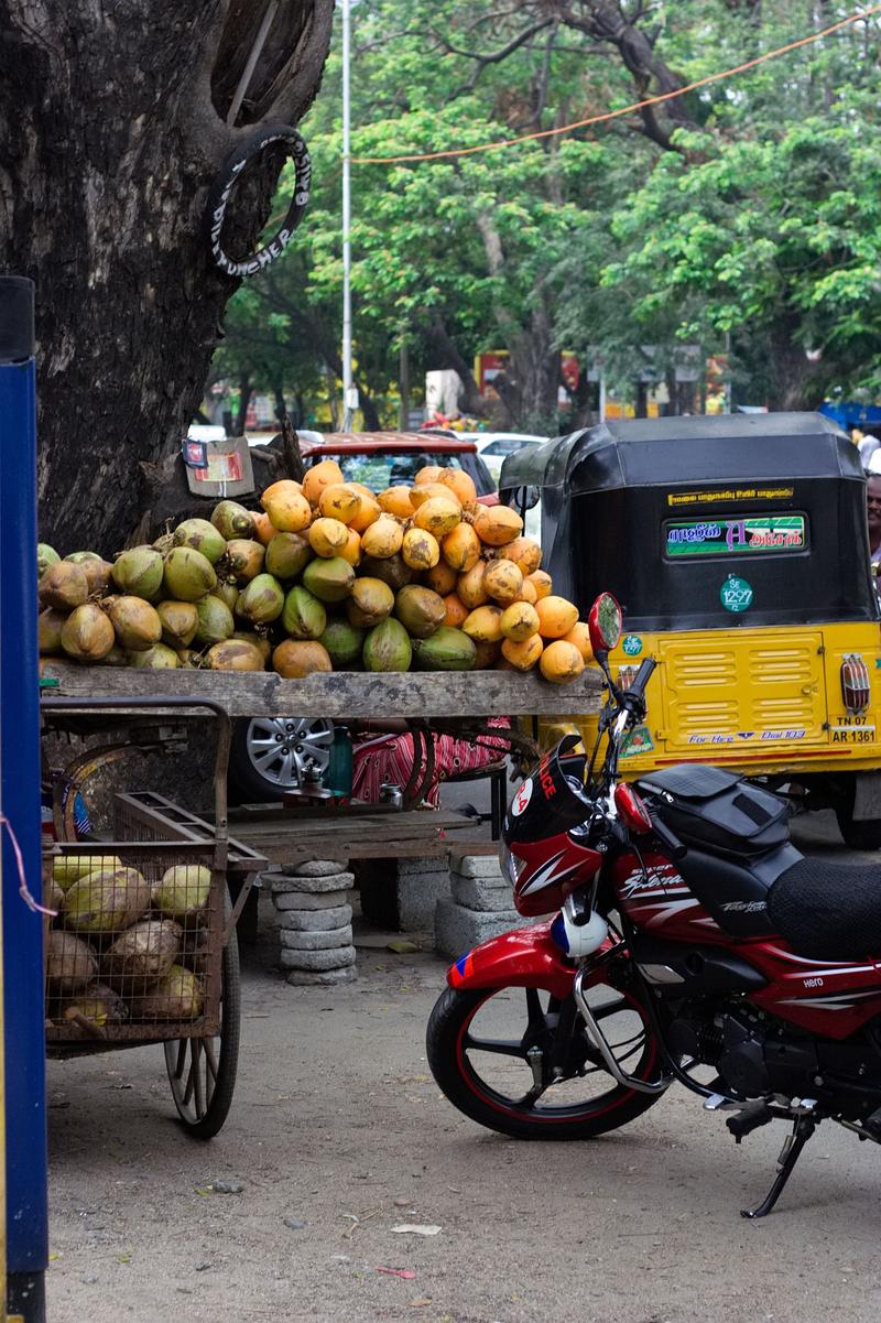 Street views, Chennai, Tamil Nadu, India