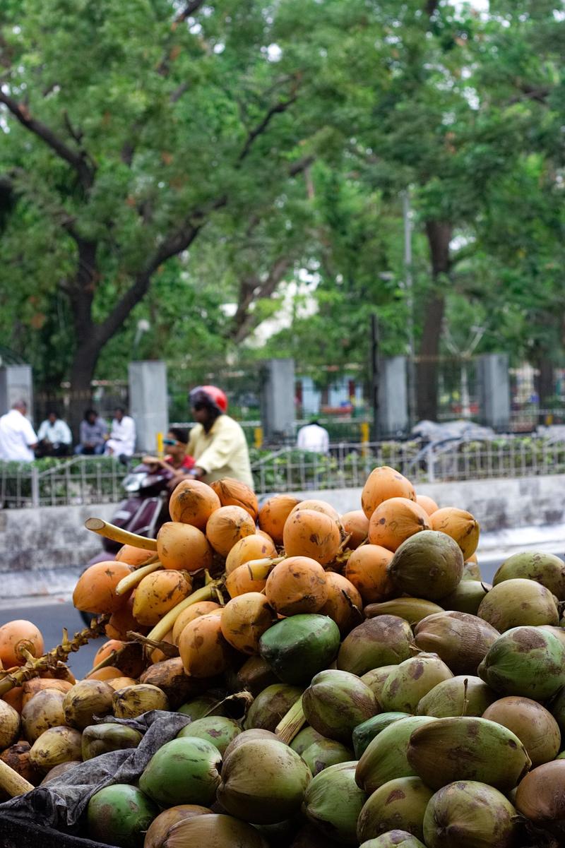 Street views, Chennai, Tamil Nadu, India