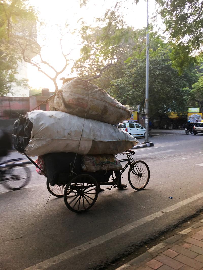 Street views, New Delhi, Delhi, India