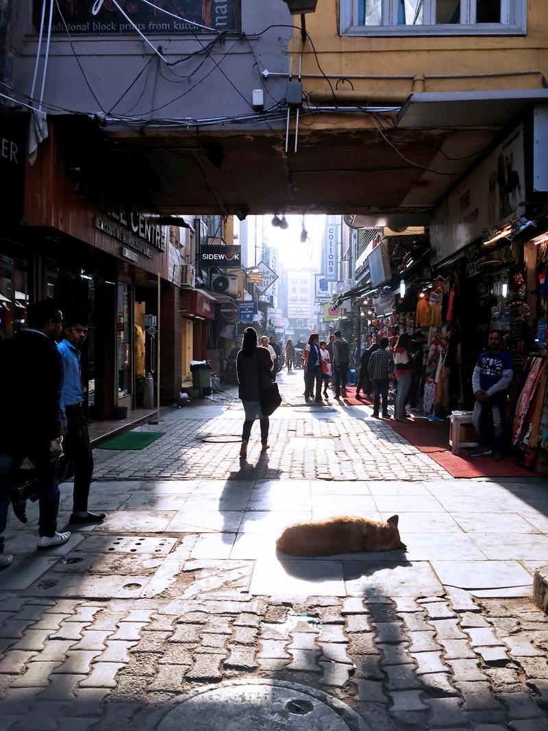 Street views, Khan Market, New Delhi, Delhi, India