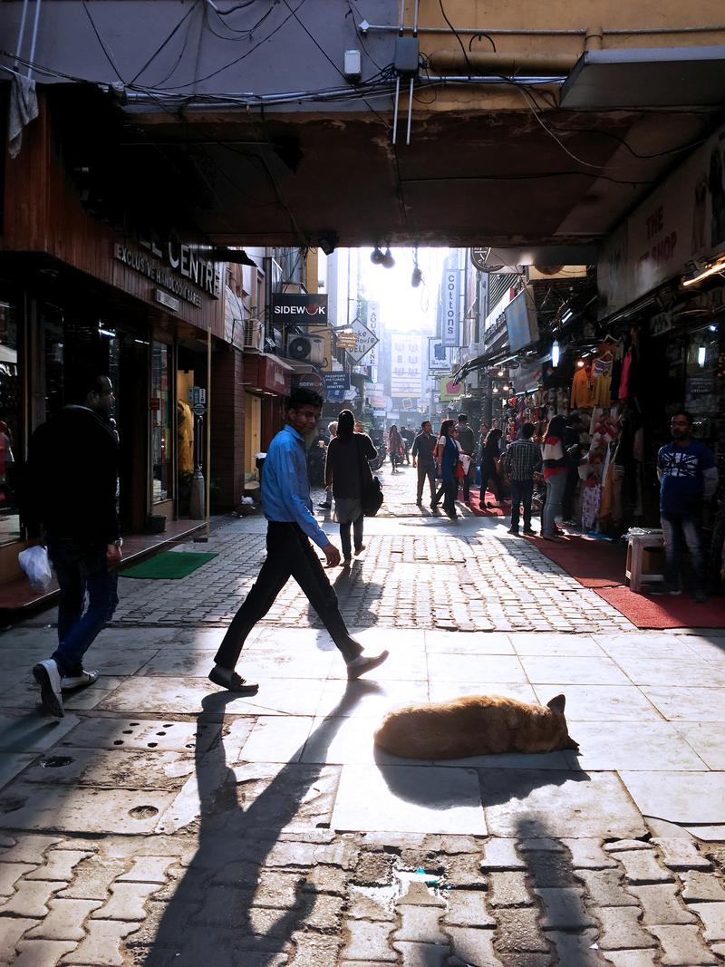 Street views, Khan Market, New Delhi, Delhi, India