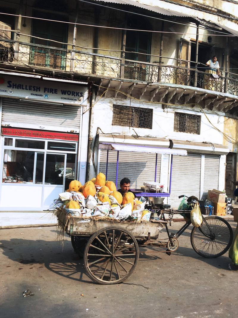 Street views, New Delhi, Delhi, India