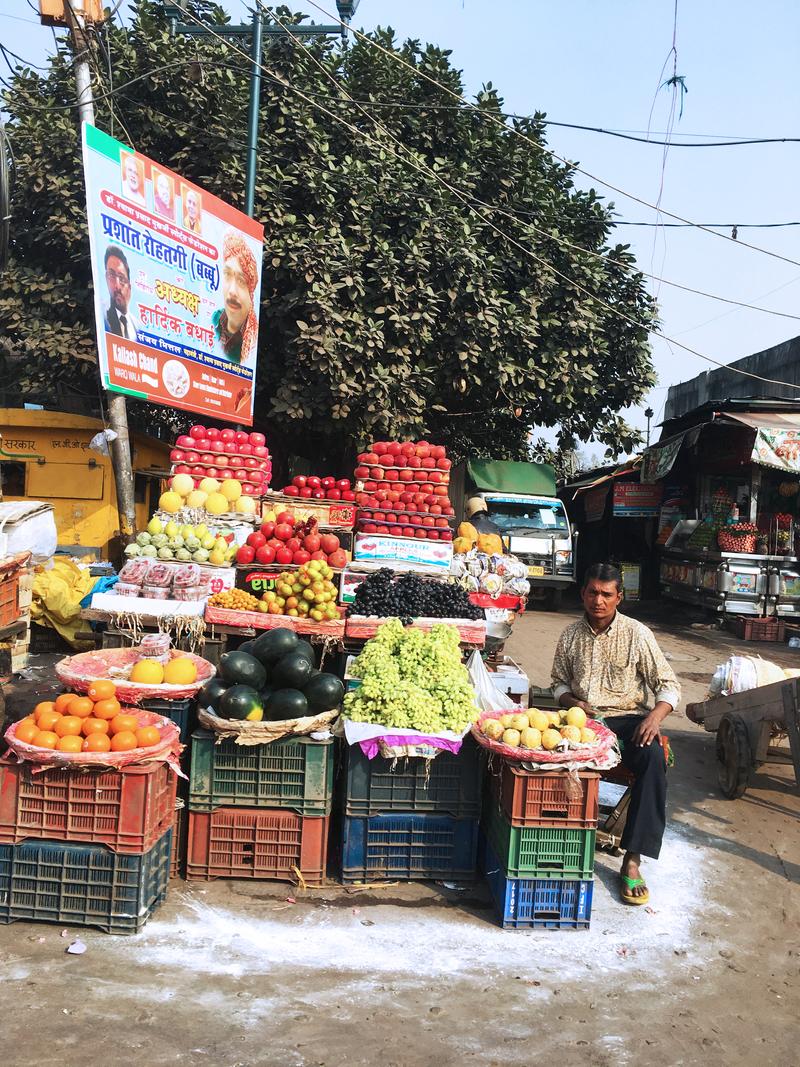 Street views, New Delhi, Delhi, India