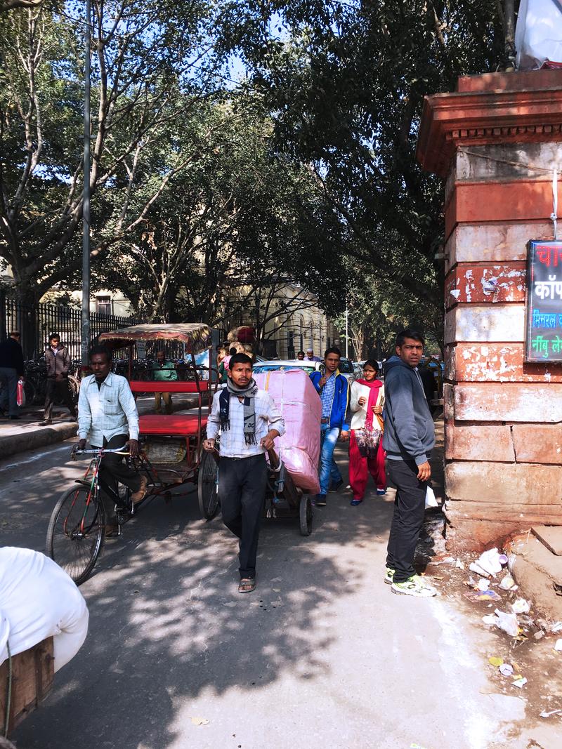 Street views, Chandi Chowk, New Delhi, Delhi, India