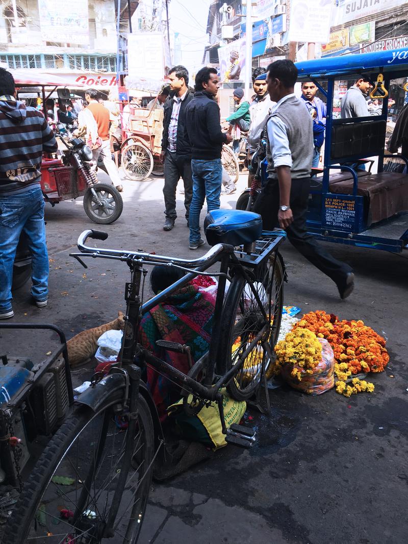 Street views, Chandi Chowk, New Delhi, Delhi, India