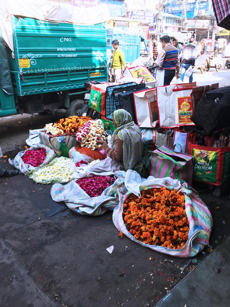 Street views, Chandi Chowk, New Delhi, Delhi, India