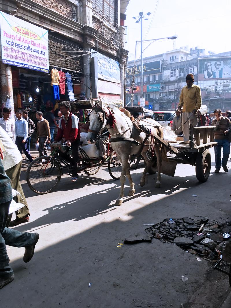 Street views, Chandi Chowk, New Delhi, Delhi, India