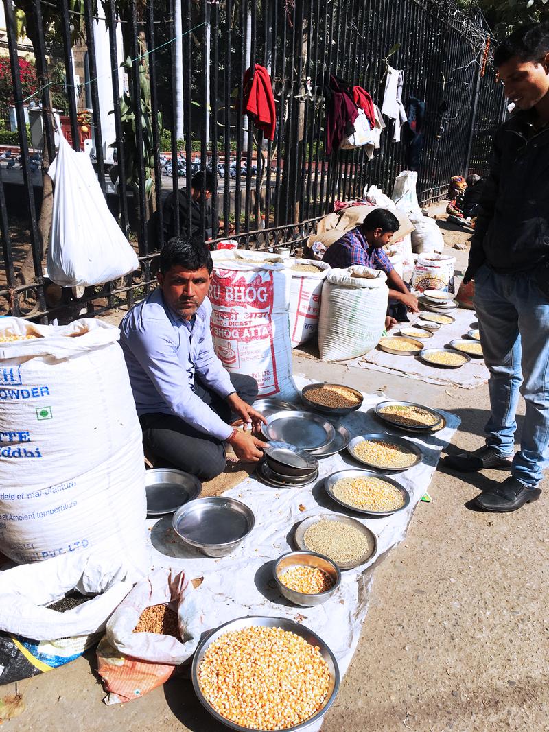 Street views, Chandi Chowk, New Delhi, Delhi, India