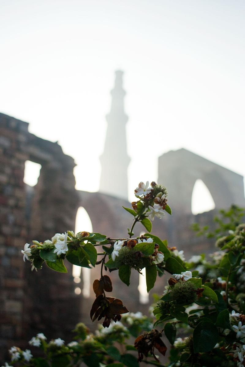 Qutub Minar, New Delhi, Delhi, India