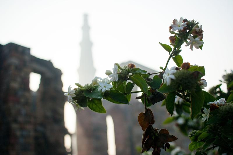 Qutub Minar, New Delhi, Delhi, India