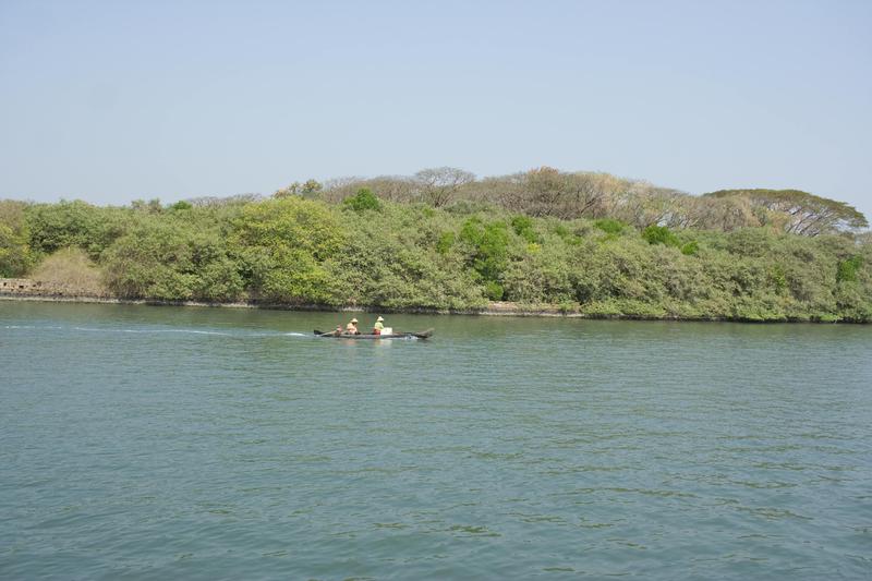 On a boat tour of the backwaters, Kerala, India