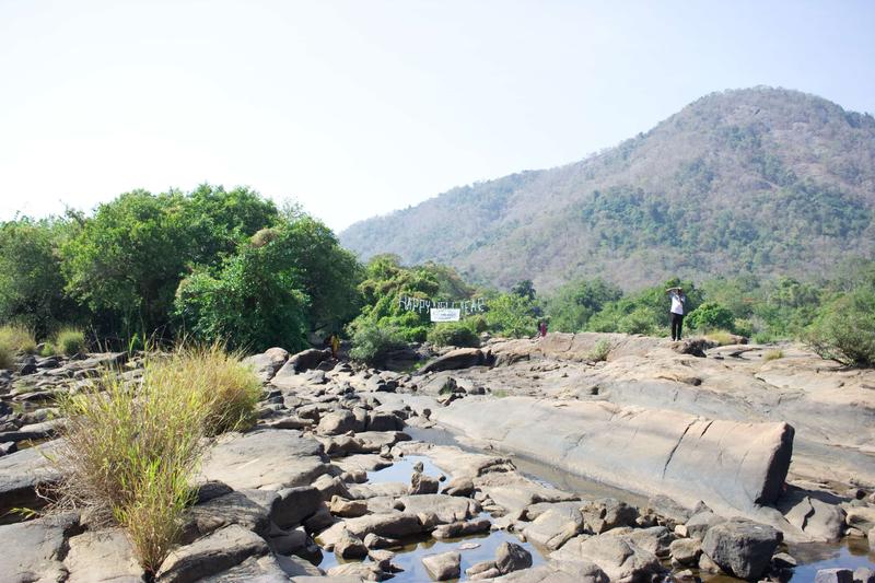 Scenery and happy new year at Athirappilly Falls, Ernakulam, Kerala, India