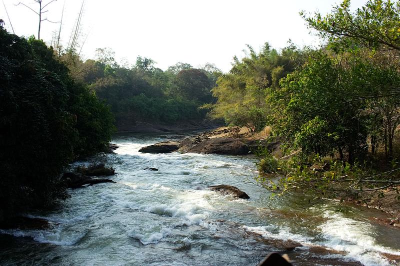 Pausing to enjoy the scenery while on the lookout for elephants near Vazhachal Waterfalls, Ernakulam, Kerala, India