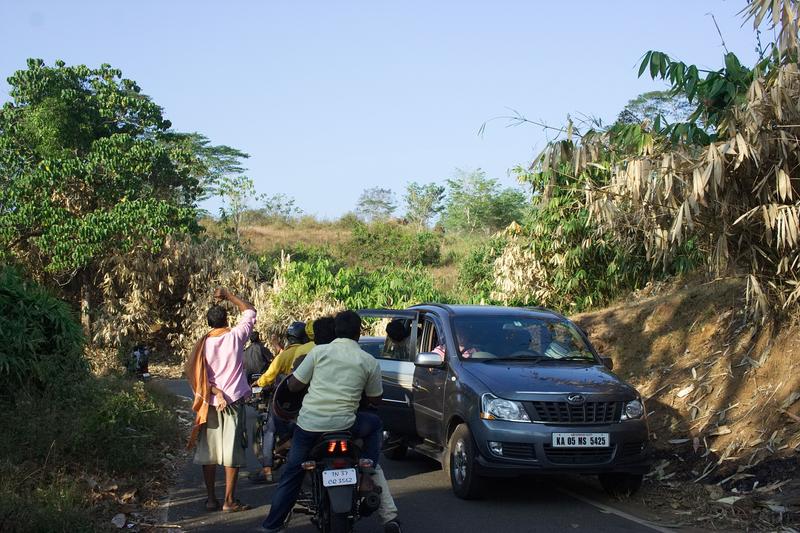 Road jam, elephants spotted in the distance. In hindsight, I should've brought a zoom lens. It was still quite an experience seeing elephants in the wild. Vazhachal Range, Ernakulam, Kerala, India