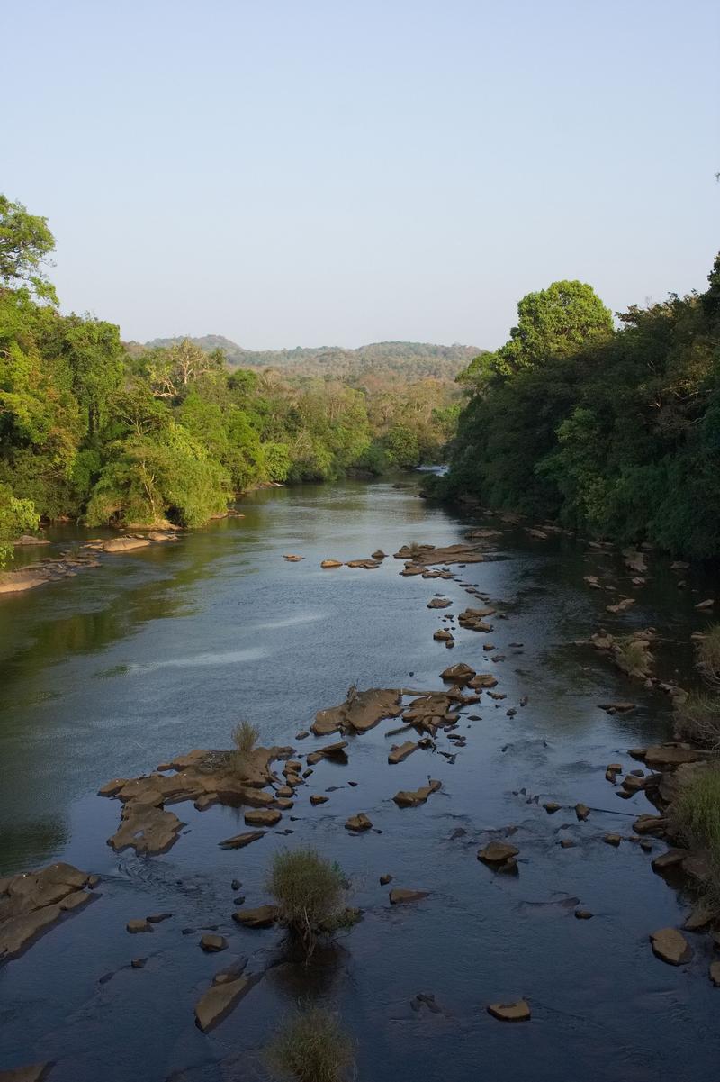 Scenic views, somewhere in Vazhachal Range, Ernakulam, Kerala, India