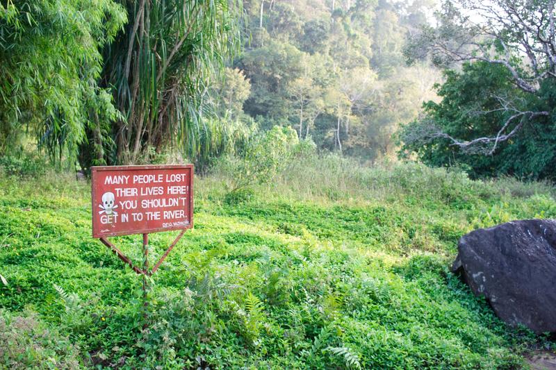 Scenic views, somewhere in Vazhachal Range, Ernakulam, Kerala, India