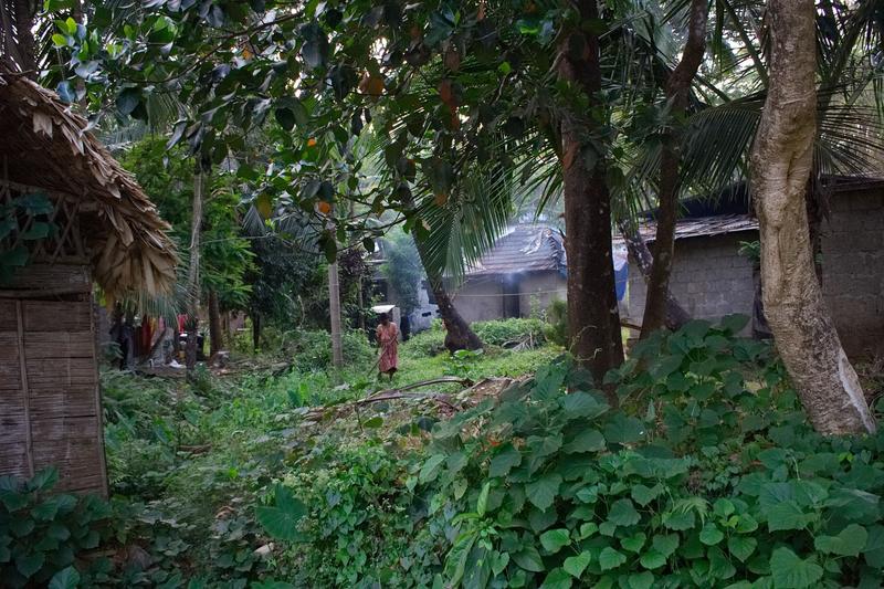 Woman balancing object on her head near her home, somewhere around Vazhachal Falls Ernakulam, Kerala, India