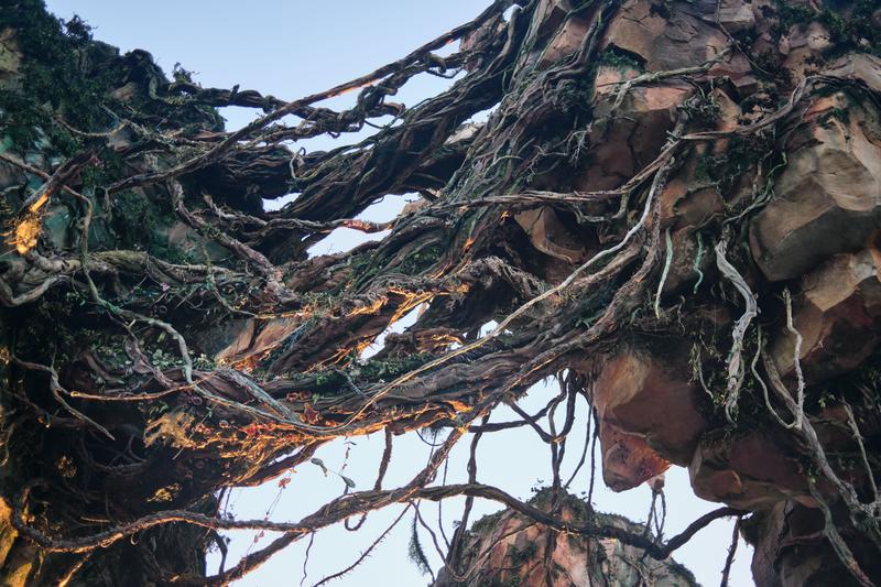 Pandora details, Animal Kingdom, Walt Disney World.