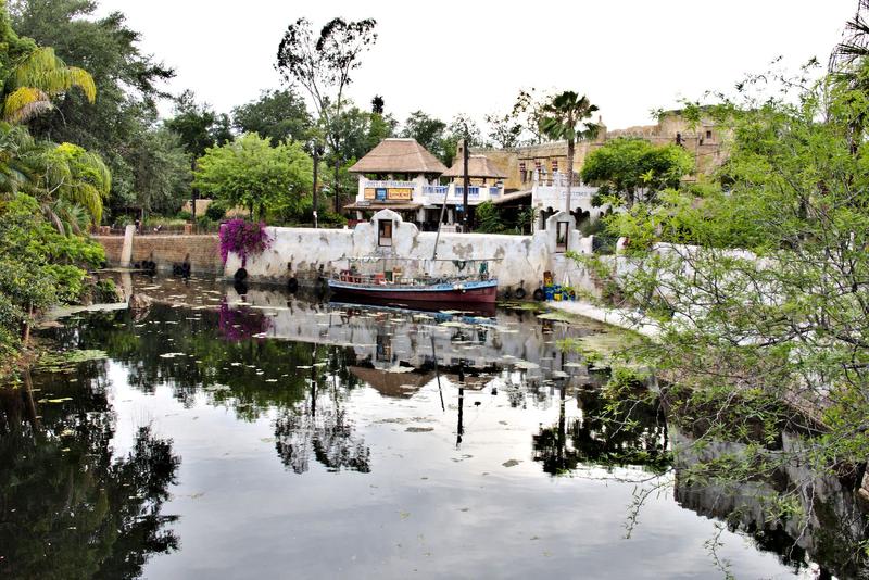 Animal Kingdom, Walt Disney World.