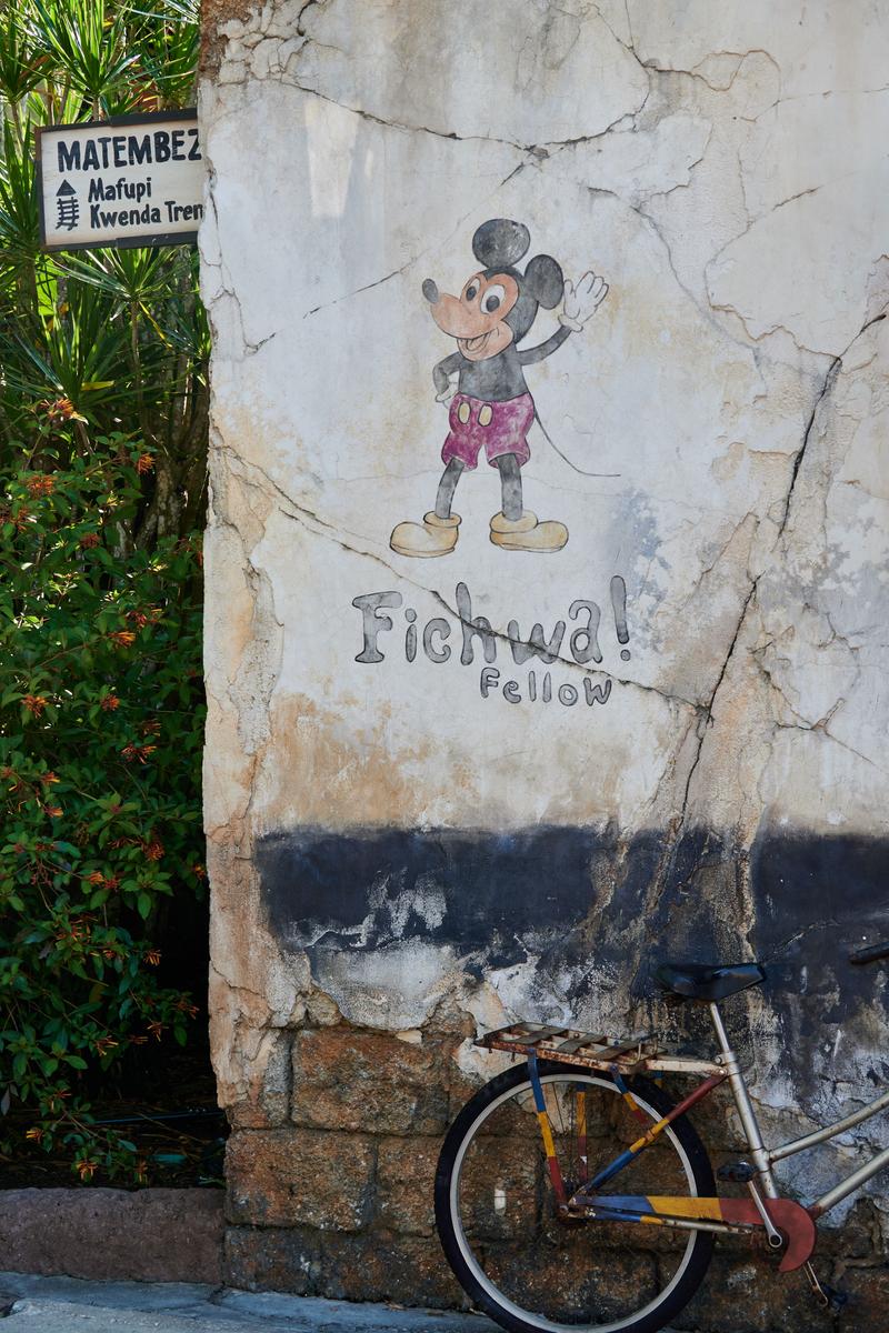 Details, Animal Kingdom, Walt Disney World.