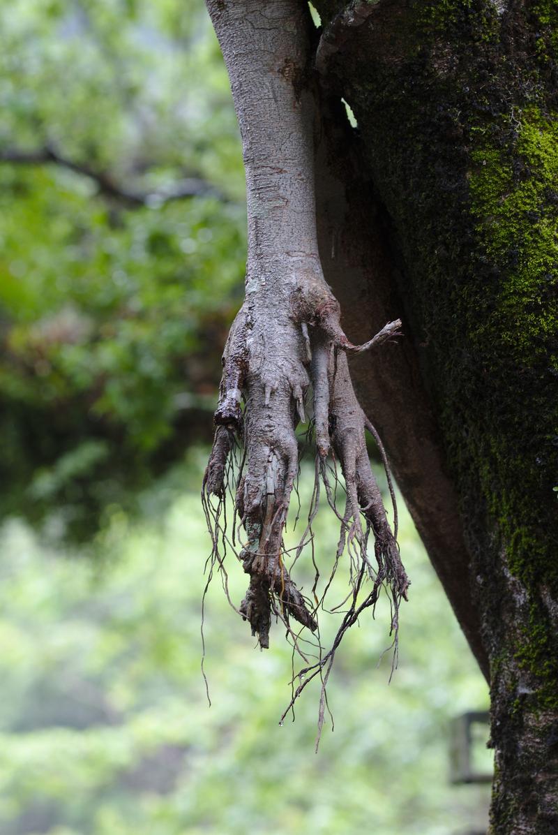 Taroko Gorge, Hualien, Taiwan