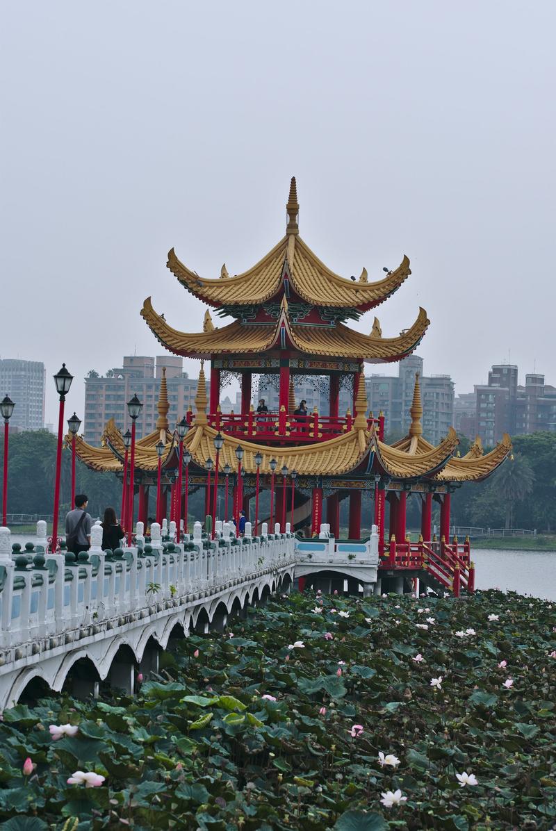 Lotus flower on Lotus Pond, Kaohsiung, Taiwan