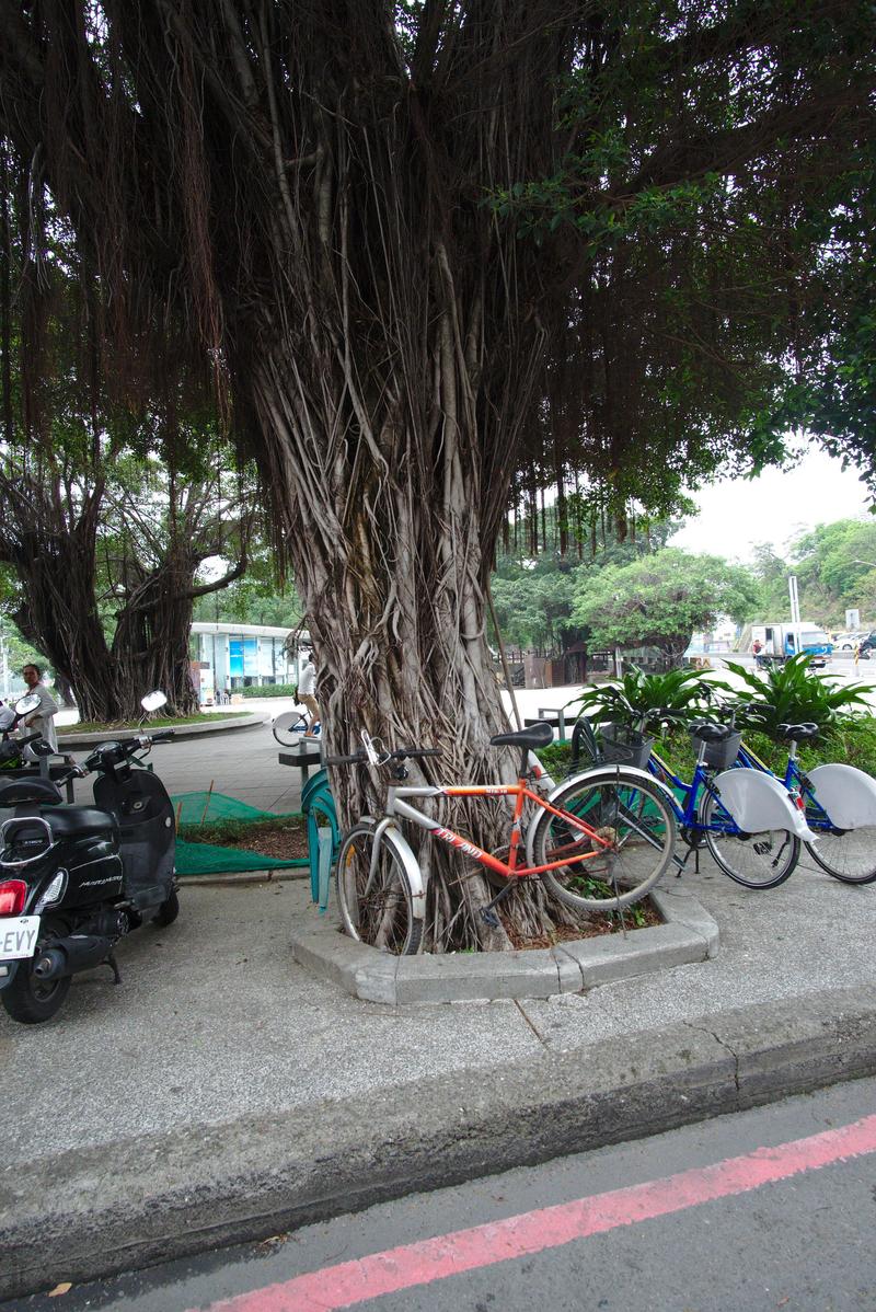 Street views near the Lotus Pond, Kaohsiung, Taiwan