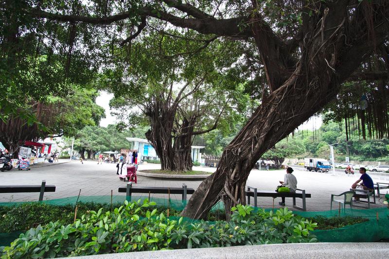 Street views near the Lotus Pond, Kaohsiung, Taiwan