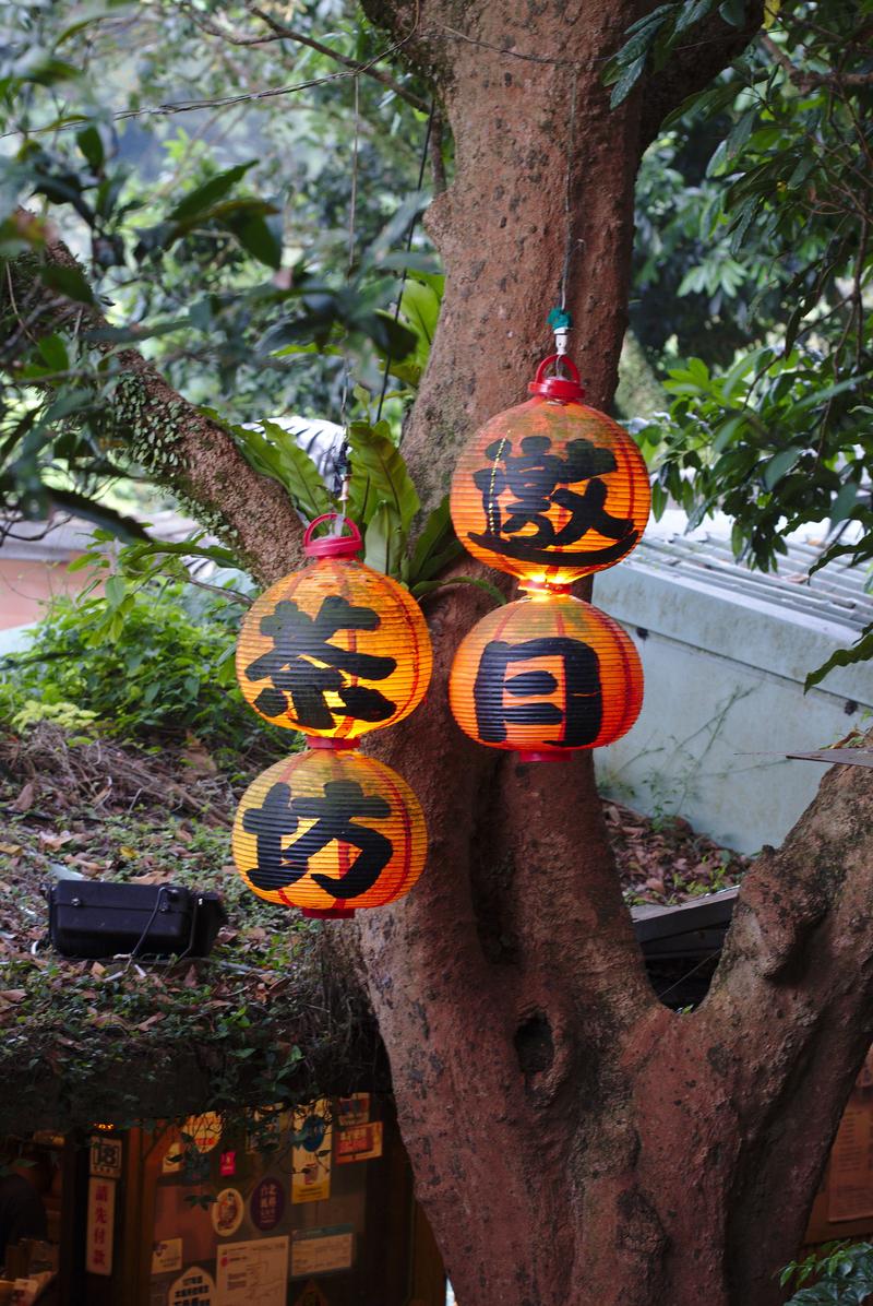 Lanterns outside Yao-Yue tea in Makong, Taiwan