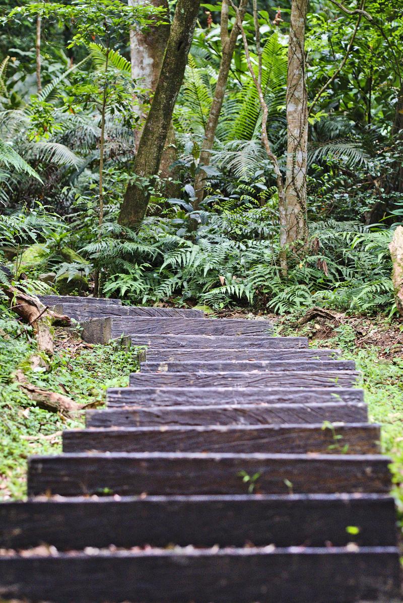 Stairs leading up hiking in Makong, Taiwan