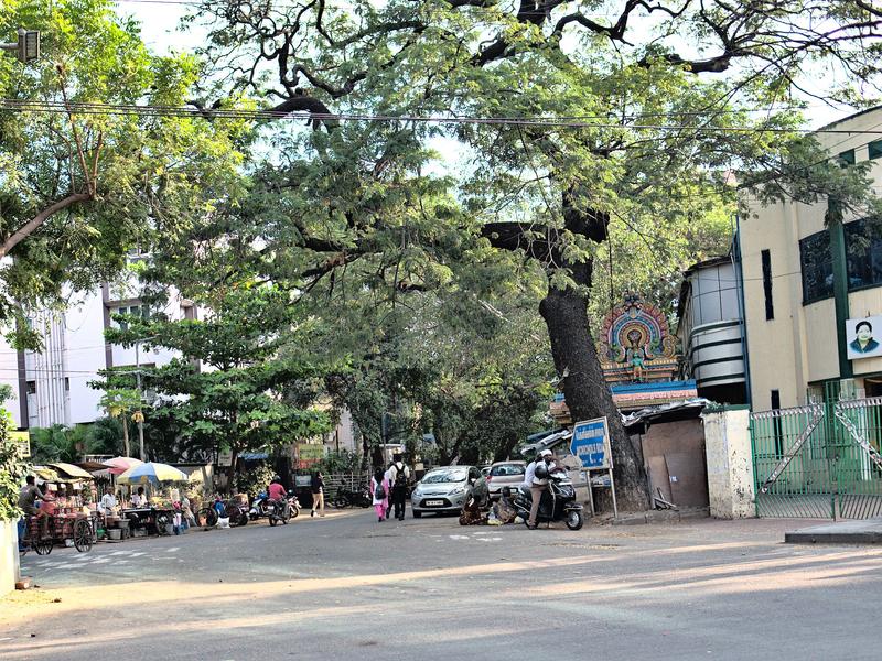 Chennai, Tamil Nadu, India