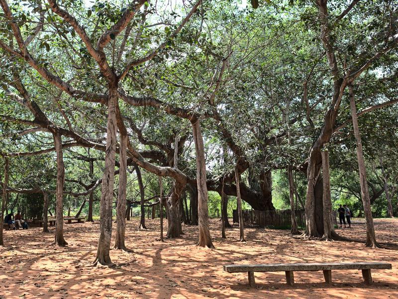 Auroville, Tamil Nadu, India