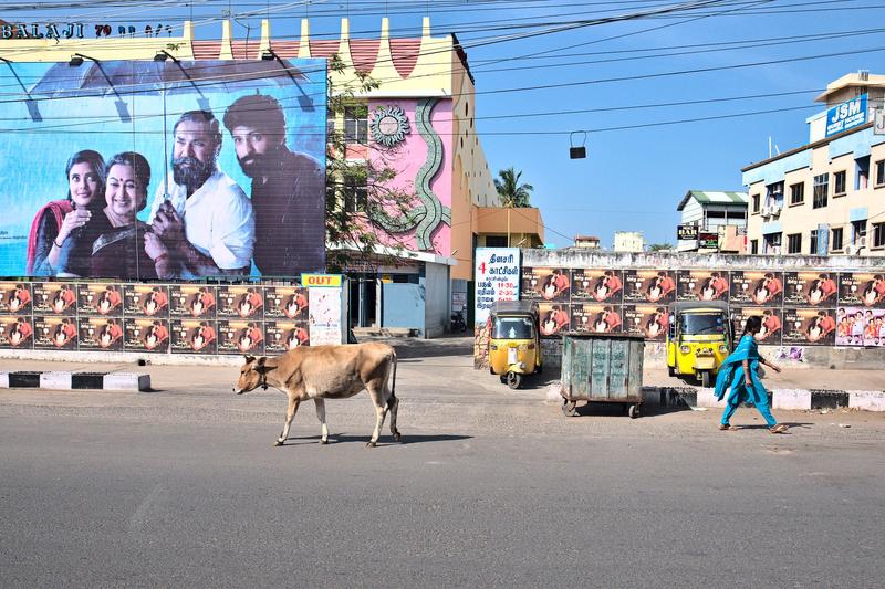 Somewhere on the road in Tamil Nadu, India