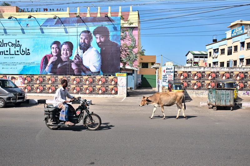 Somewhere on the road in Tamil Nadu, India