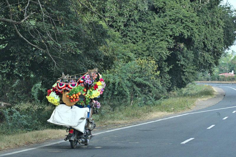 Somewhere on the road in Tamil Nadu, India