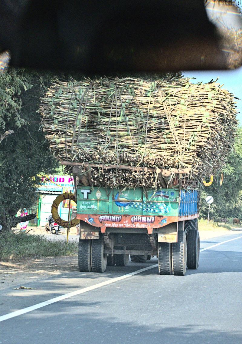 Somewhere on the road in Tamil Nadu, India