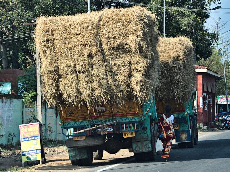 Somewhere on the road in Tamil Nadu, India